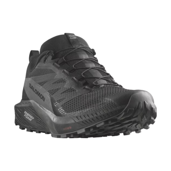 Salomon SENSE RIDE 5 GTX Homme