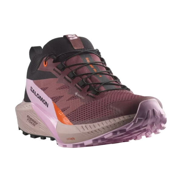 Salomon SENSE RIDE 5 GTX W Femme