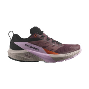 Salomon SENSE RIDE 5 GTX W Femme Catawg/orchib/c