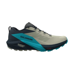 Salomon SENSE RIDE 5 Homme Alfalfa/carbon/peablu