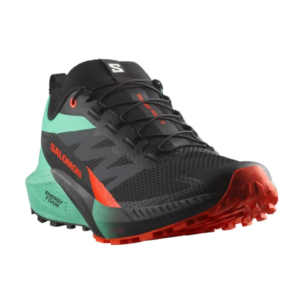 Salomon SENSE RIDE 5 Homme