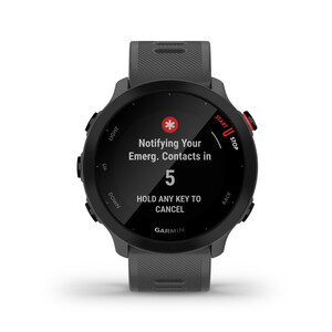 Garmin Forerunner 55 Grise Monterra