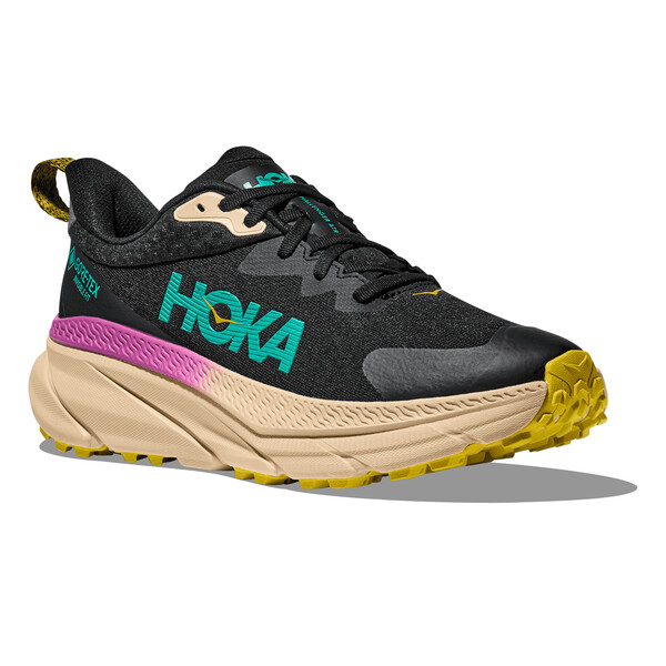 Chaussures de sport Hoka M CHALLENGER ATR 7 GTX Homme