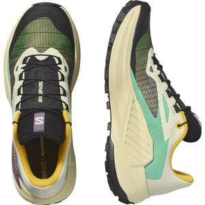 SALOMON GENESIS