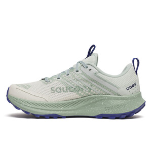SAUCONY RIDE TR2 GTX Femme