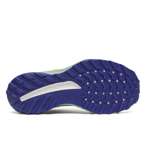 SAUCONY RIDE TR2 GTX Femme