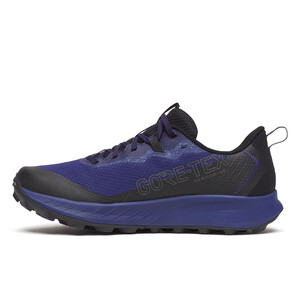 SAUCONY PEREGRINE 15 GTX Homme