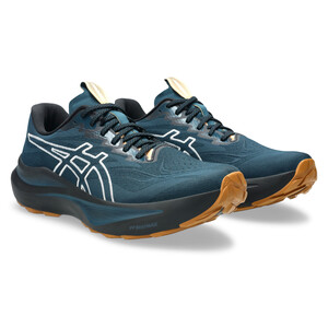 Asics GT-2000 14 tr  Homme