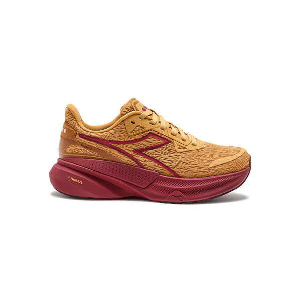 Chaussures de sport Diadora NUCLEO 2 W Femme