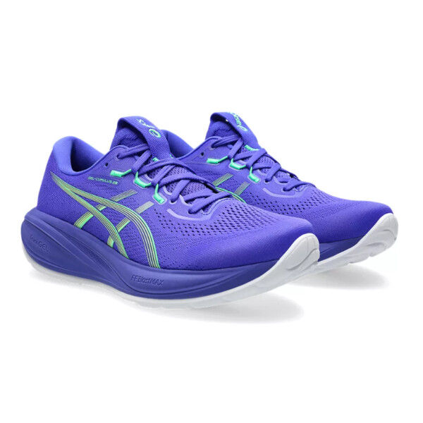 Chaussures de sport Asics GEL-CUMULUS 28 Homme
