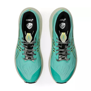 Asics GT-2000 14 tr Homme