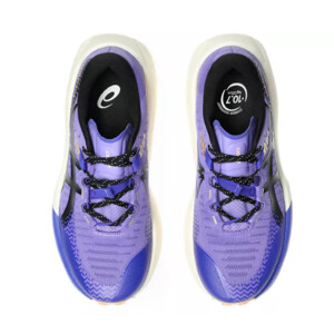 ASICS Trabuco Max 5 Femme