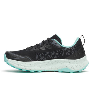 SAUCONY PEREGRINE 16 GTX Femme
