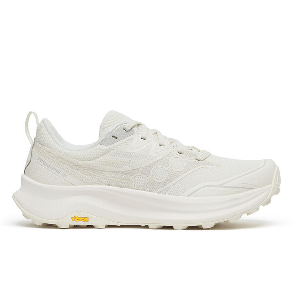Chaussures de sport Saucony PEREGRINE 16 GTX Femme