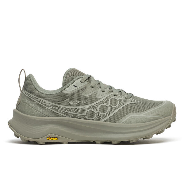 Baskets de sport Saucony PEREGRINE 16 GTX Femme