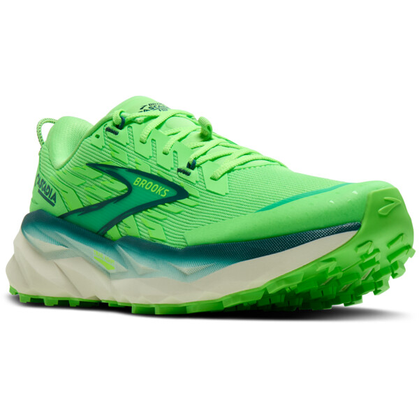 Baskets de running Brooks CASCADIA 19 Homme