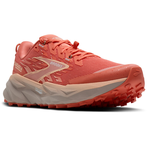 Baskets de sport Brooks CASCADIA 19 Femme