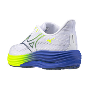 MIZUNO WAVE RIDER 29 Homme