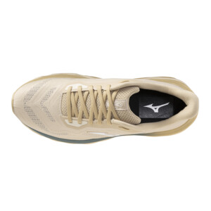 MIZUNO WAVE HORIZON 9 Homme