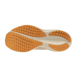 MIZUNO WAVE RIDER 29 Femme