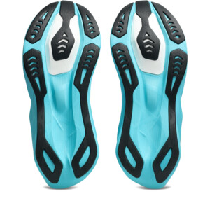 Asics NOVABLAST 6 Femme