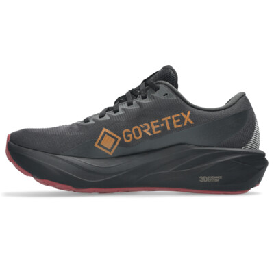 Asics GT-2000 15 GTX Homme